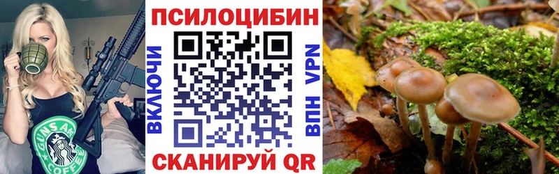 Псилоцибиновые грибы Cubensis  площадка телеграм  Рудня 